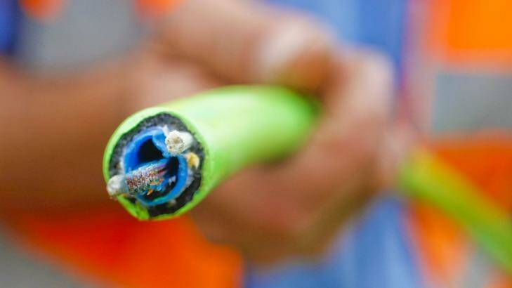 NBN Co's fibre optic cables.  Photo: Glenn Hunt