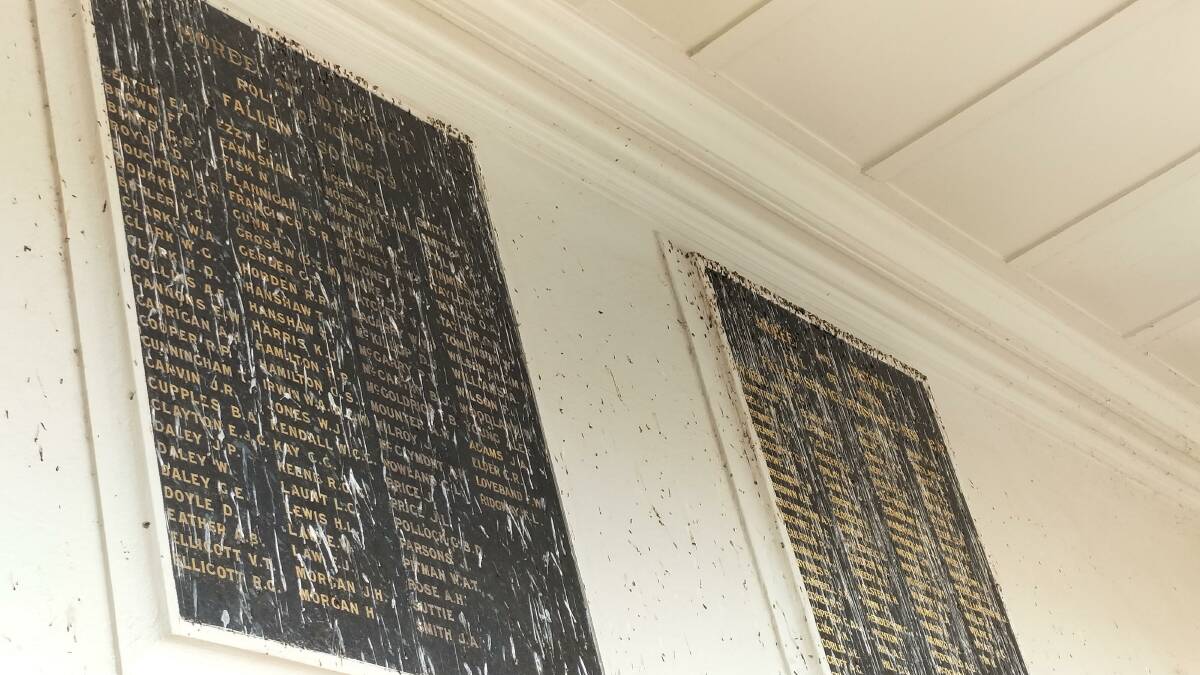 Moree War Memorial Hall's external plaques in memory of those who died while serving their country. The bird poo covers the honour rolls, floor and doors.
