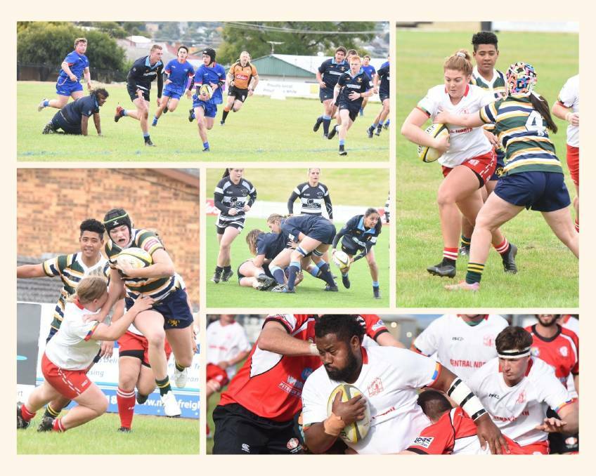 Buckle up! The NSW County rugby union championships get under way in Tamworth on Saturday. 