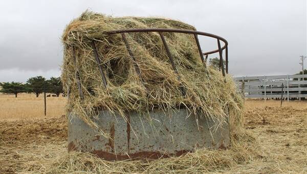 Rural Aid is relaunching its Buy a Bale fundraising campaign 